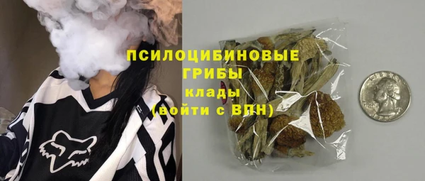 ECSTASY Белокуриха