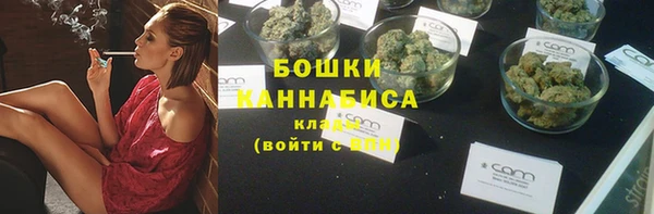 ECSTASY Белокуриха