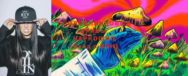 стафф Беломорск