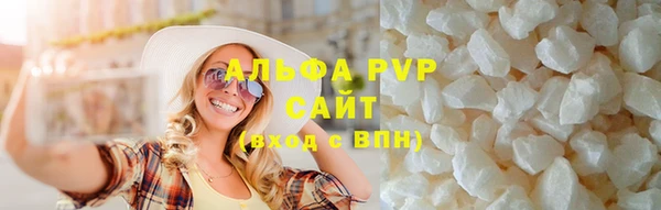 ECSTASY Белокуриха